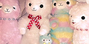 collections // alpacasso